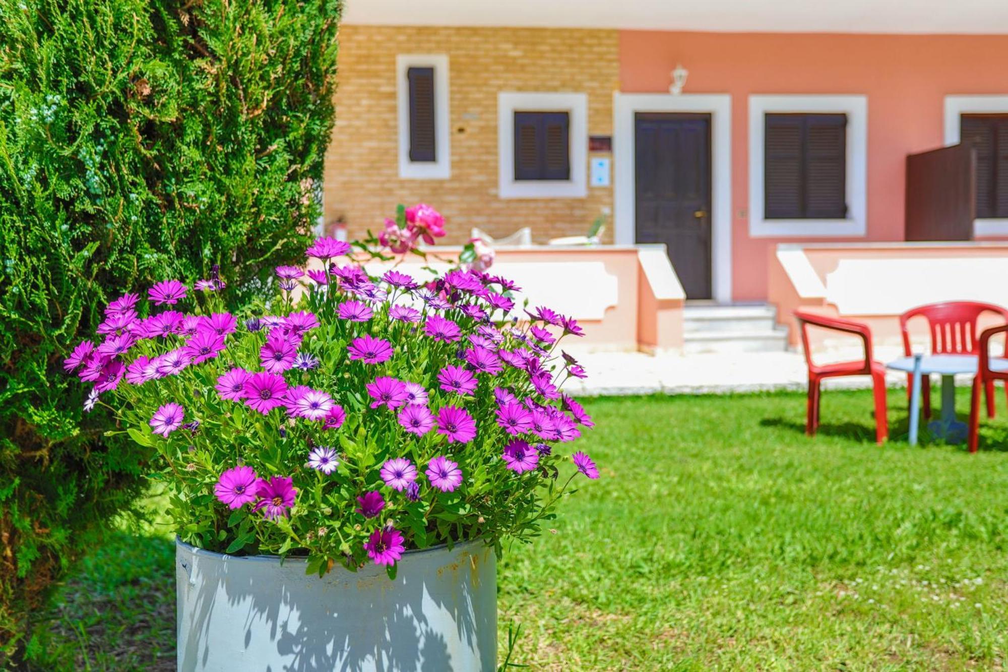 Amarylis Apartment Almiros Beach Exterior foto